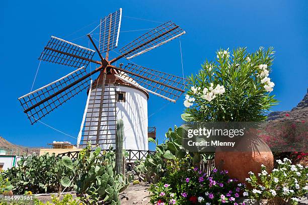 grand canary traditional spanish windmill - grand canary stock pictures, royalty-free photos & images