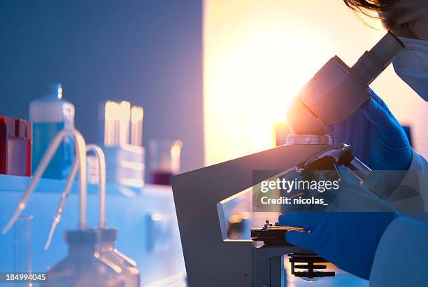 scientific research - science research stock pictures, royalty-free photos & images