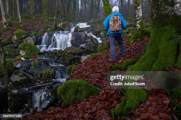 senior man at a waterfall in scotland - dumfries en galloway stockfoto's en -beelden