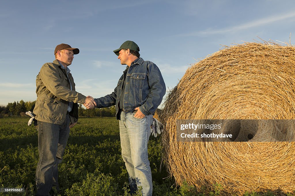 Los agricultores campo apretón de manos