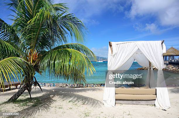 arbor on tropical beach - pergola 個照片及圖片檔