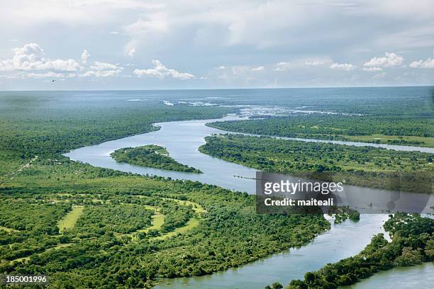 zambezi river - zambezi river stock pictures, royalty-free photos & images