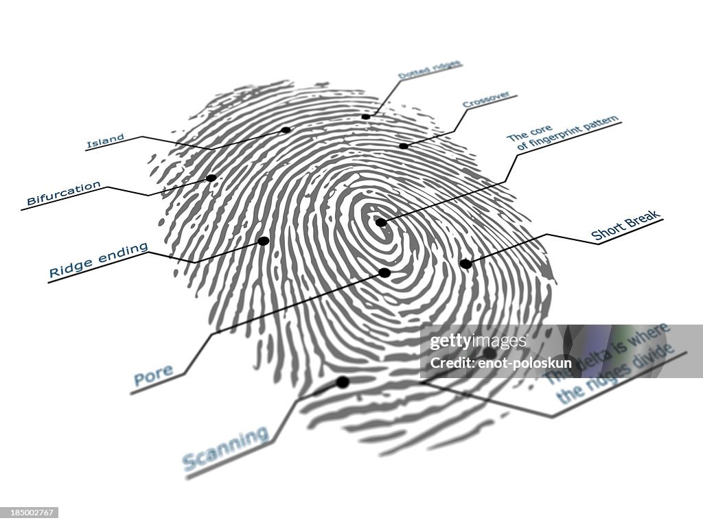 Fingerprint