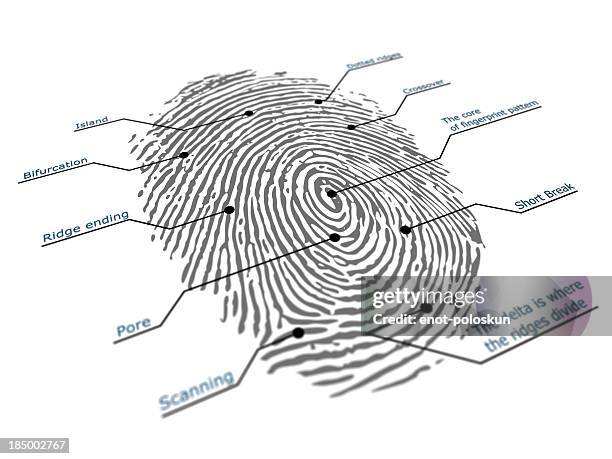 fingerprint - annotation stock pictures, royalty-free photos & images