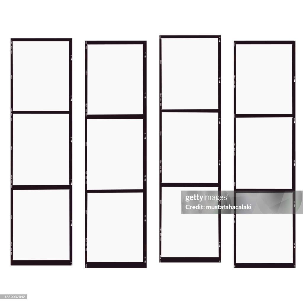 Contact sheet style blank medium format film strips