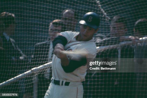 Boston Red Sox outfielder Carl Yastrzemski in the batting cage, Boston, October 3rd 1967. He is practicing a day before the World Series opener...