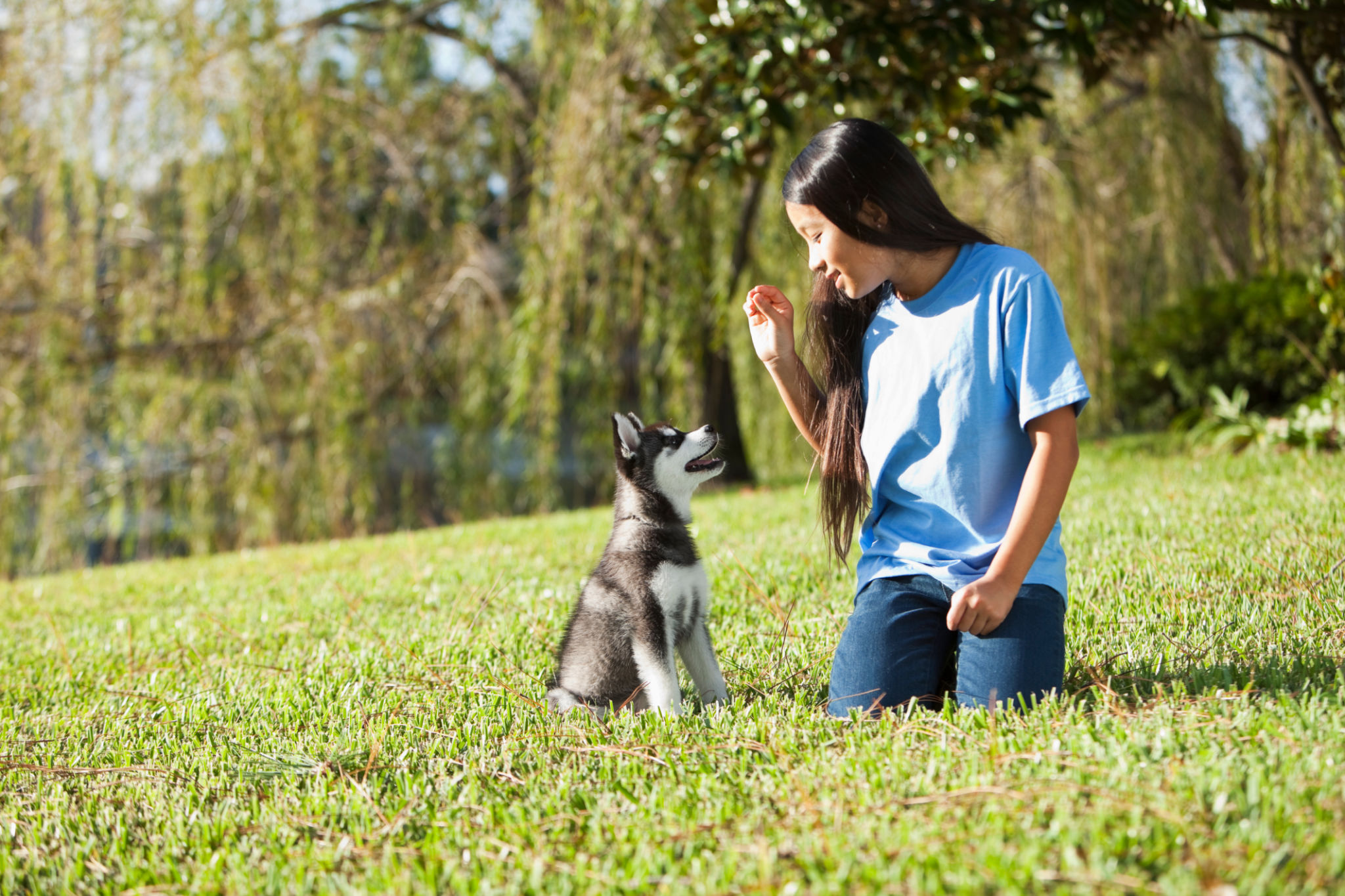 Girl training puppy Girl training puppy