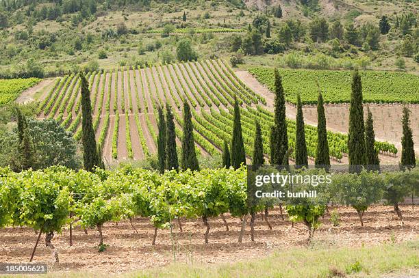 frankreich-corbières weinberge - languedoc rousillon stock-fotos und bilder