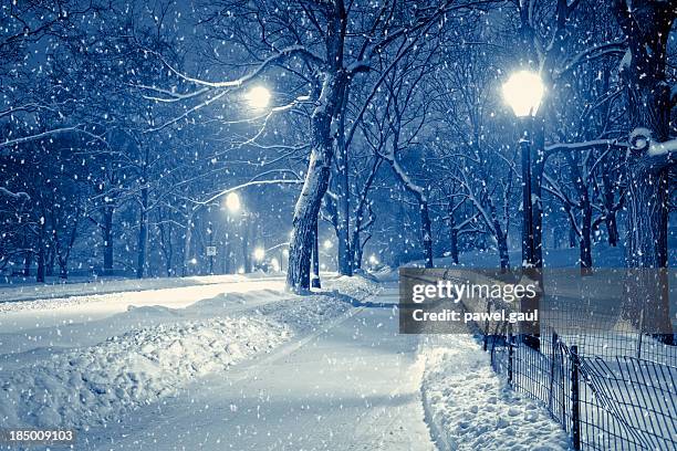 central park por la noche durante la tormenta de nieve - central park manhattan fotografías e imágenes de stock
