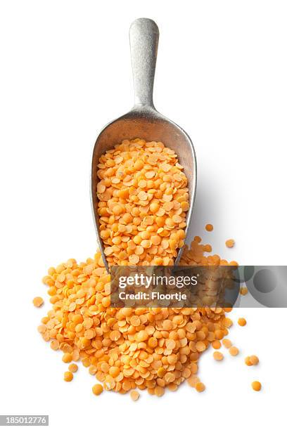 beans: red lentil - red lentil stock pictures, royalty-free photos & images