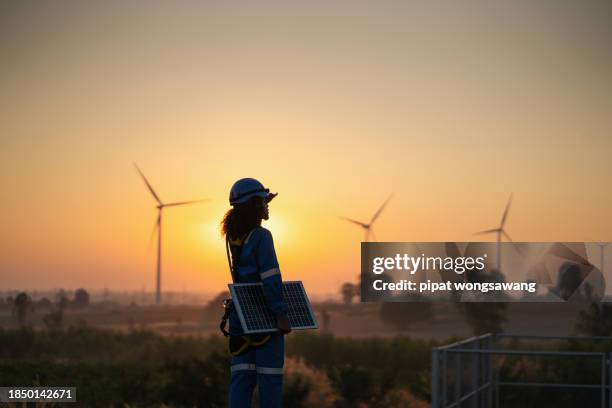 black woman engineer walking in wind turbine farm with solar panel in the evening, green power technology concept - solar farm stock-fotos und bilder