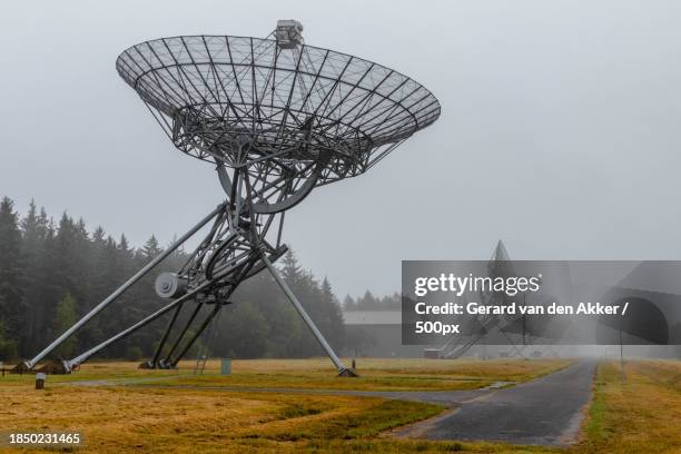 trees on field against sky - astrophysics stock pictures, royalty-free photos & images