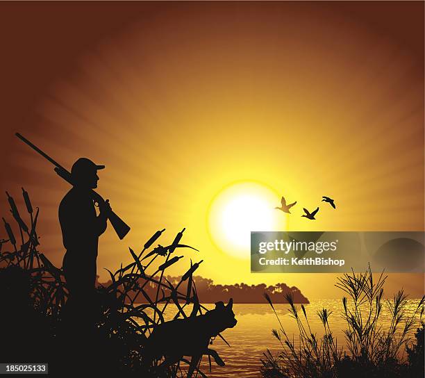 ilustraciones, imágenes clip art, dibujos animados e iconos de stock de pato hunter en la puesta de sol de fondo - monter