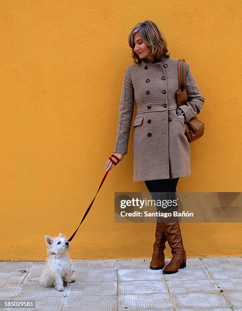 woman with puppy in front of orange wall - überkreuzte beine stock-fotos und bilder