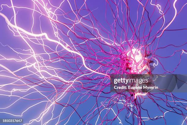 from brain to algorithm. how neuroscience shapes machine learning - informationsüberflutung stock-fotos und bilder
