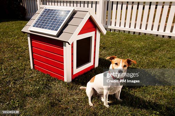 dog with solar panel on dog house - doghouse stock pictures, royalty-free photos & images