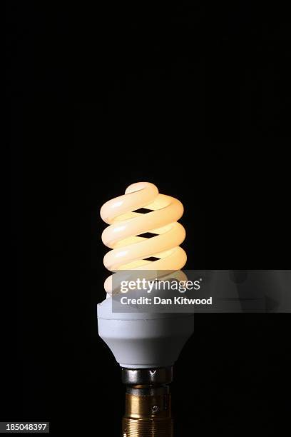 Photo illustration of an energy saving lightbulb on October 17, 2013 in London, England. British Gas, who supply energy to almost eight million...