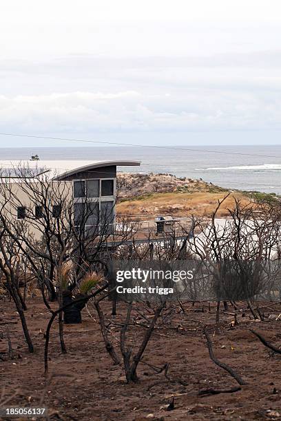 bushfire damage in australia - australia fire stock pictures, royalty-free photos & images