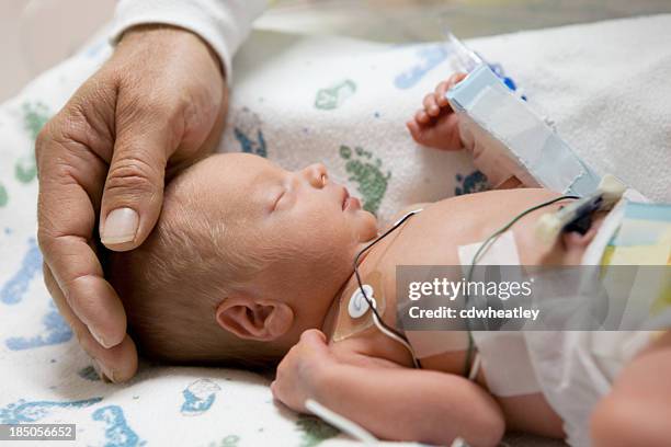 vater berühren kopf einer vorzeitigen baby in brutkasten - premature baby incubator stock-fotos und bilder