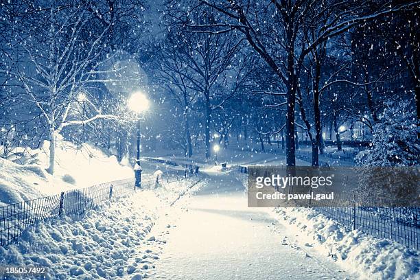 central park by night during snow storm - central park winter stockfoto's en -beelden