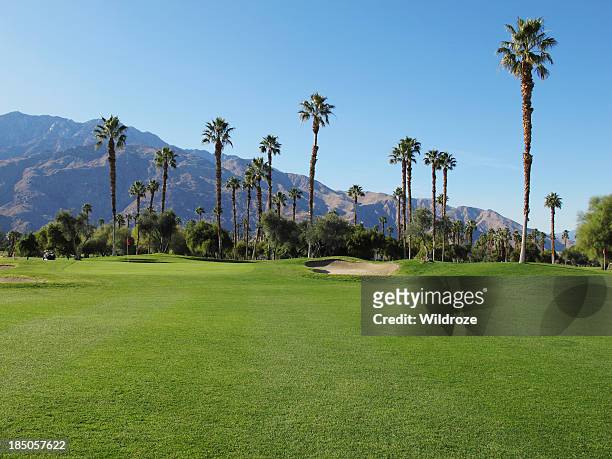 lush green golf course in the palm springs desert - palm springs california stockfoto's en -beelden