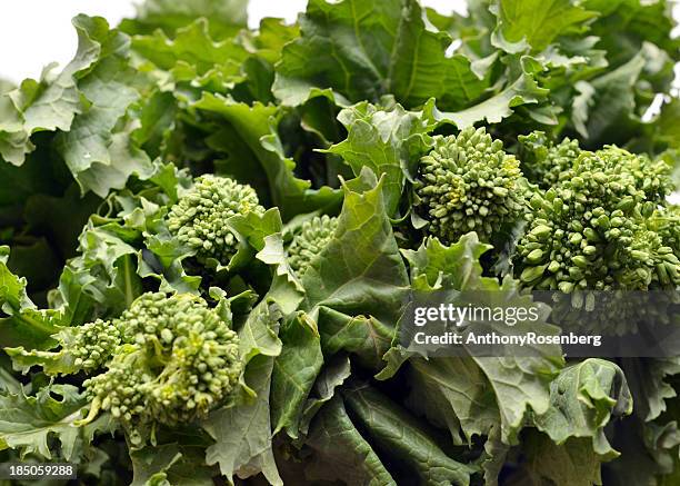 rapini - brocoli rapini photos et images de collection
