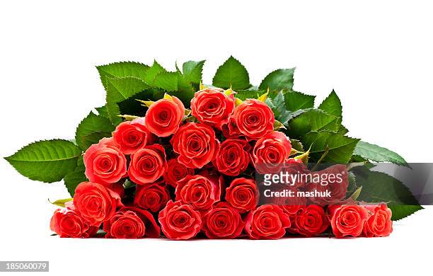 roses - bundle stock pictures, royalty-free photos & images