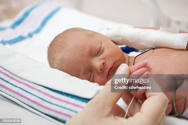mãe holdind mão de um prematuro bebê na incubadora - prematuro imagens e fotografias de stock