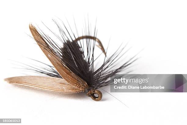 vintage fly fishing lure - vintage fishing lure stock pictures, royalty-free photos & images