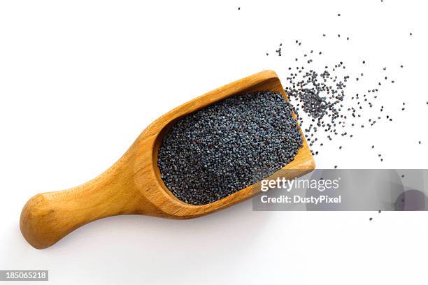 poppy seed - poppy seed stock pictures, royalty-free photos & images