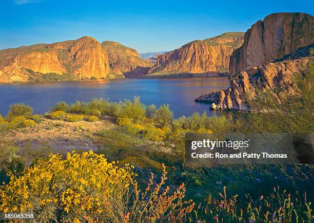 rocky cliffs and shores of arizona in spring - sonoran desert stockfoto's en -beelden