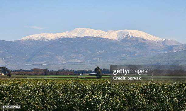 mount hermon - golan heights stock pictures, royalty-free photos & images