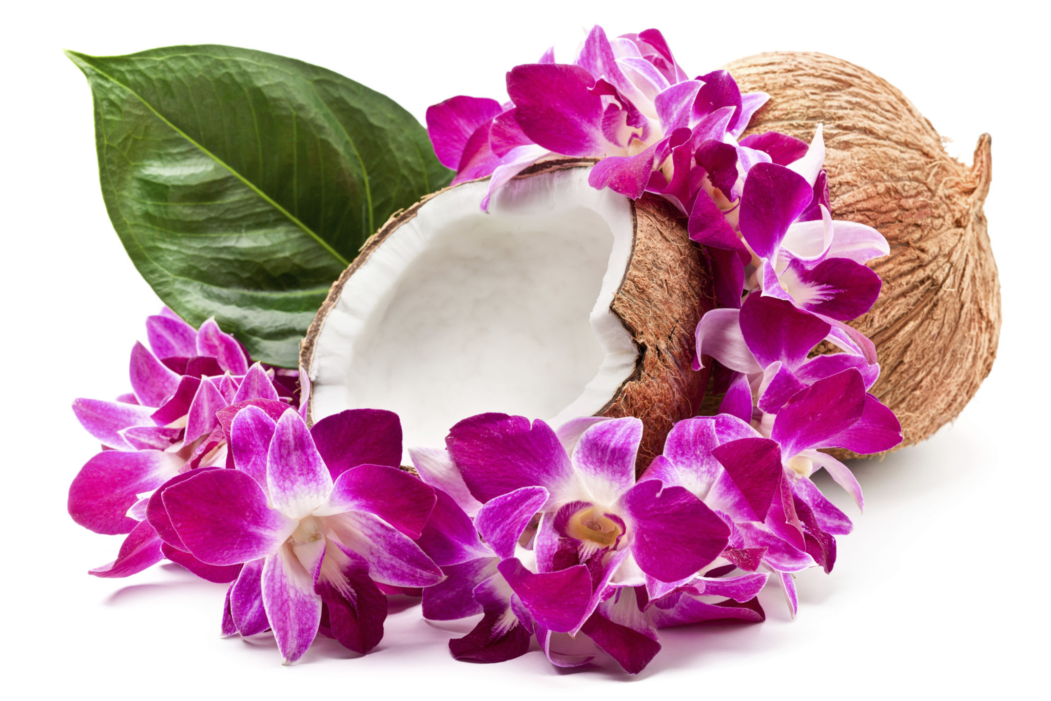 hawaiian culture