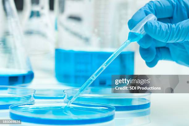 chemist using dropper to drop liquid into petri dish - science measurement stock pictures, royalty-free photos & images
