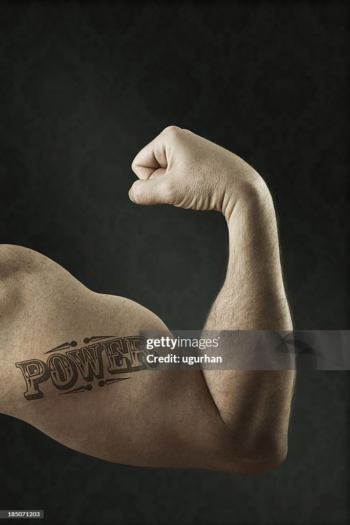Muscular biceps