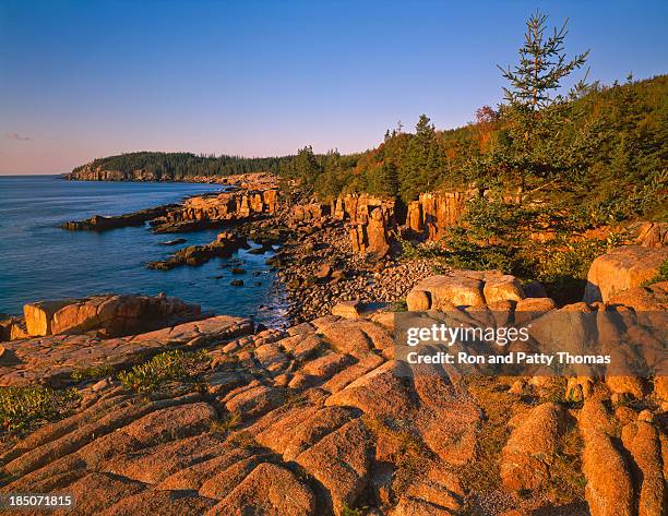 maine coastline- (p - insel mount desert island stock-fotos und bilder