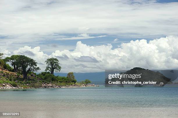 lake malawi and baobab trees - lake malawi stock pictures, royalty-free photos & images