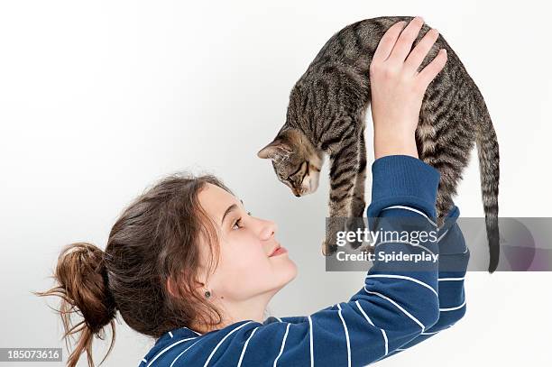 sweet young girl with kitten - hairy girl 個照片及圖片檔