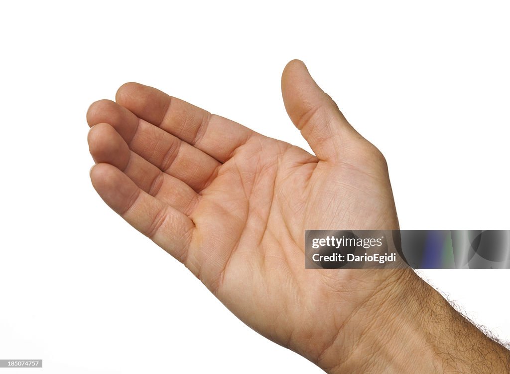 Open male hand ready to take something on white background