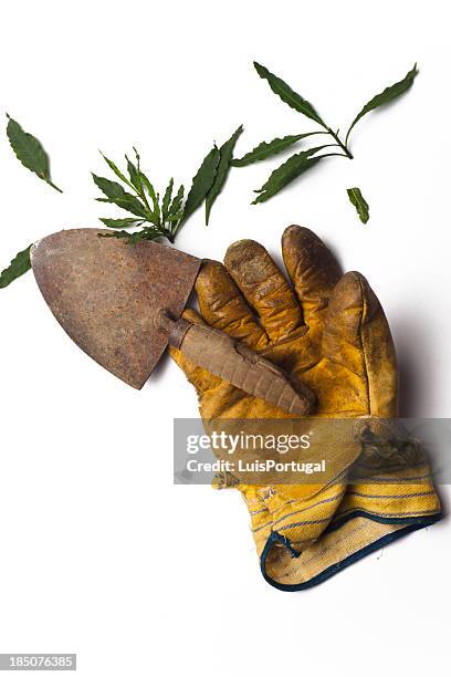 gardening - gul handske bildbanksfoton och bilder