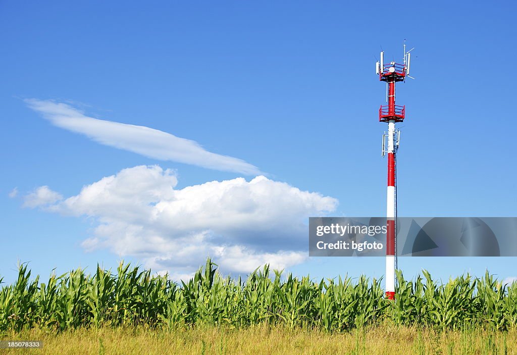 Cellular Tower
