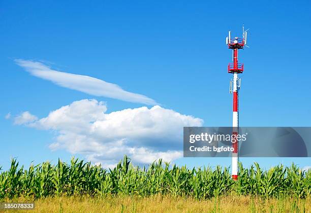 cellular tower - corncob towers stock pictures, royalty-free photos & images