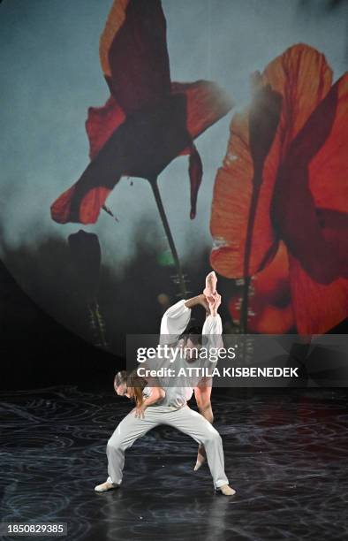 Dancers of the Hungarian contemporary dance group "PR-Evolution Debrecen Contemporary Dance Ensemble" perform on stage during a rehearsal of "Towards...