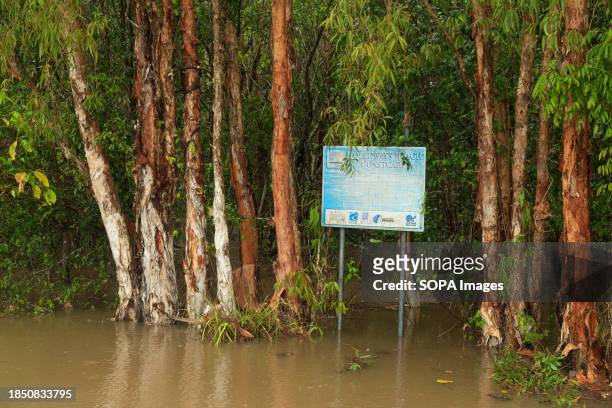 Flooded mangroves in the northern beaches suburb of Holloways Beach in Cairns after the Tropical Cyclone Jasper. Tropical Cyclone Jasper made...