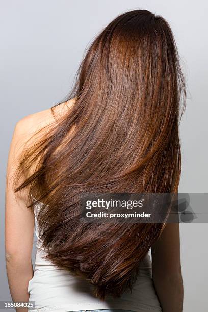 capelli lunghi da dietro - capelli castani foto e immagini stock