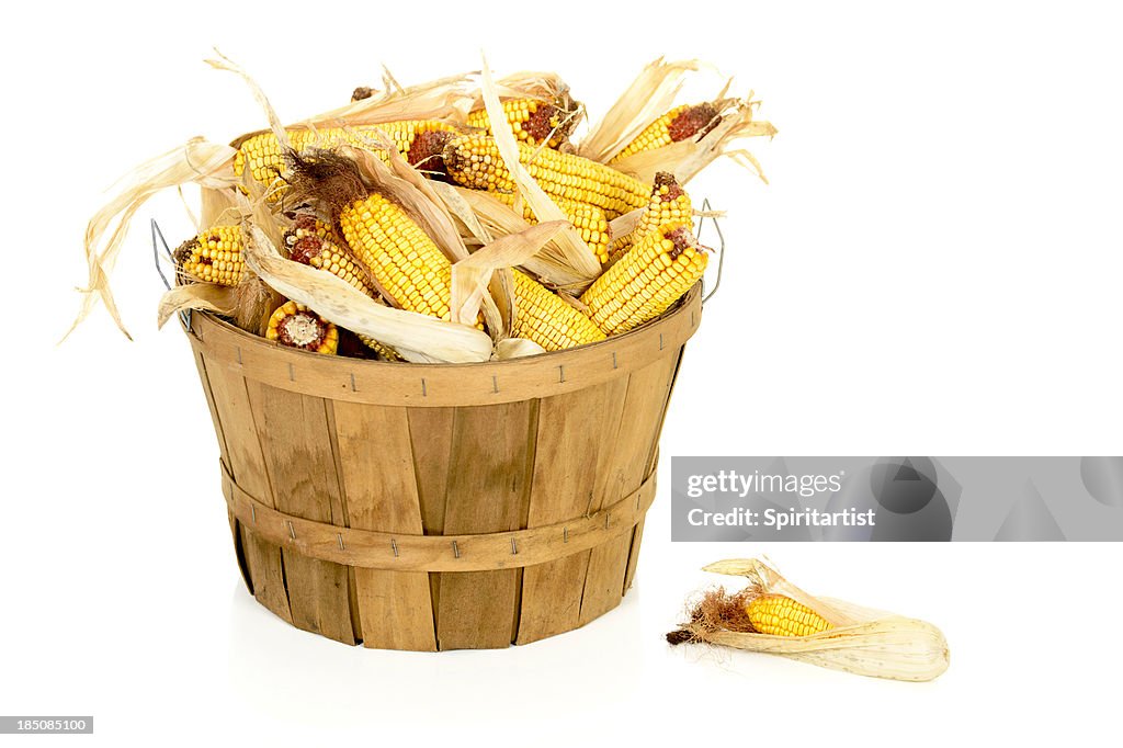 Getrocknete Mais in den Scheffel Korb