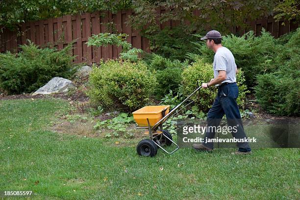 landscaper fertilizes a lawn - fertilizer stock pictures, royalty-free photos & images