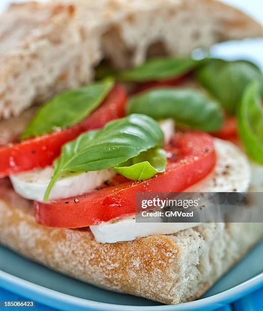 caprese sandwich - caprese stockfoto's en -beelden