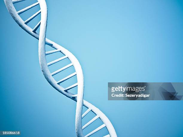 715 3d Dna Helix Photos and Premium High Res Pictures - Getty Images