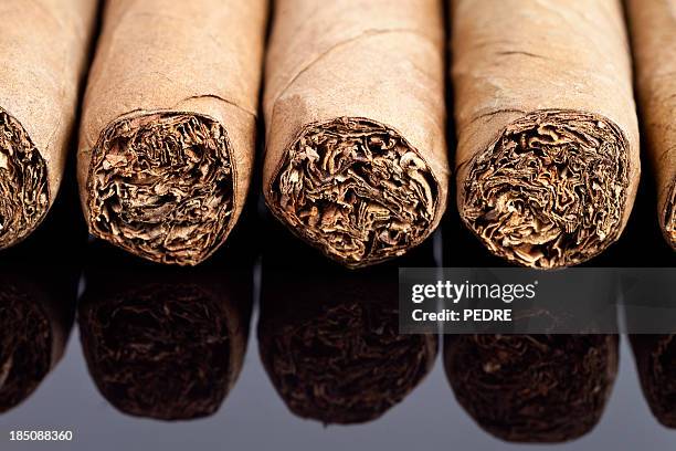 317 Cigar Texture Stock Photos, High-Res Pictures, and Images - Getty ...
